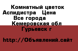 Комнатный цветок Аспидистра › Цена ­ 150 - Все города  »    . Кемеровская обл.,Гурьевск г.